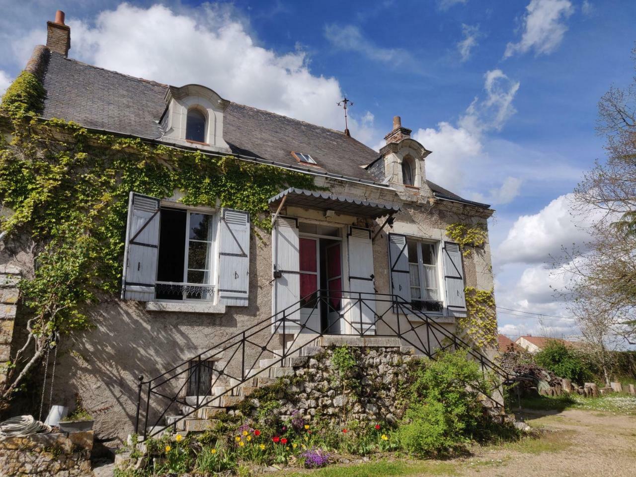 Bed and Breakfast La Rossignolerie - La Familiale Vigneronne Chouzy-sur-Cisse Zewnętrze zdjęcie